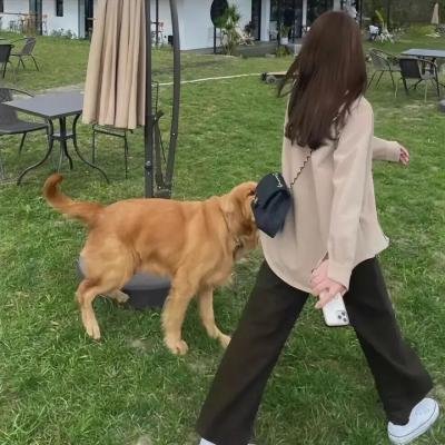 非正式会谈第五季